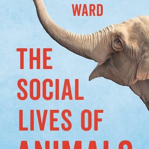 306 Social Lives Of Animals