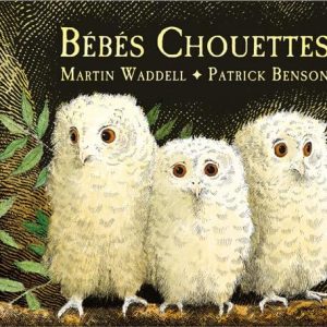 Bébés chouettes